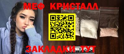 прущие грибы Гатчина