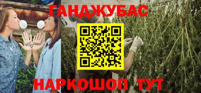 прущие грибы Гатчина