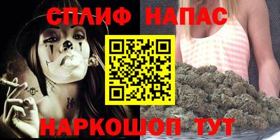 прущие грибы Гатчина