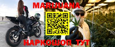 прущие грибы Гатчина