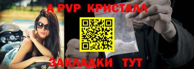 твердый Гай