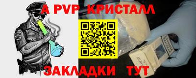 прущие грибы Гатчина